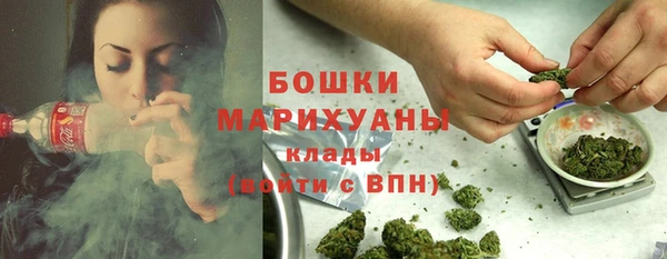 стаф Арсеньев