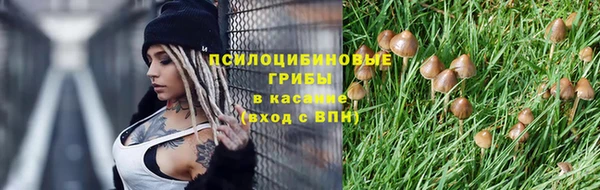 дживик Балахна