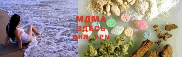 стаф Арсеньев